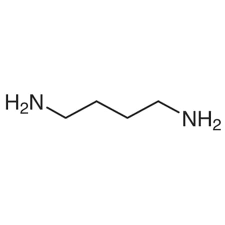 CAS No. 110-60-1 MPN:D0239-25G