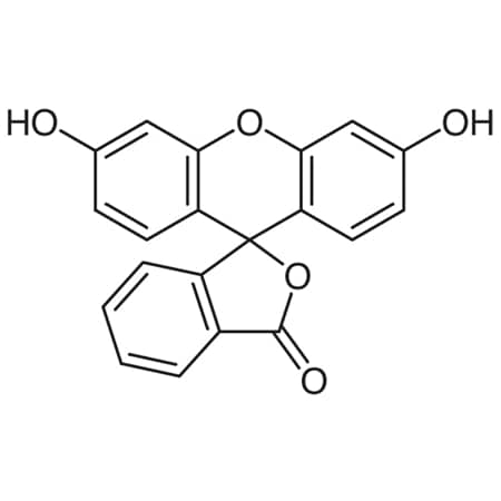 CAS No. 2321-07-5 MPN:F0095-500G