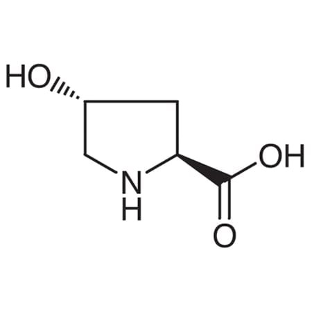 CAS No 51-35-4 MPN:H0296-5G
