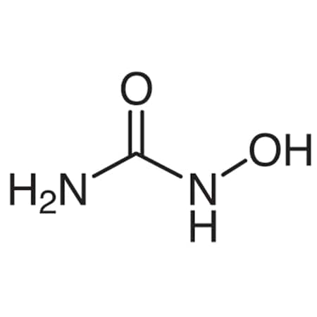 CAS No. 127-07-1 MPN:H0310-25G