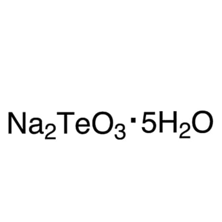 CAS No. 22451-06-5 MPN:S0965-25G