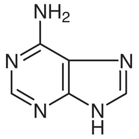 CAS No. 73-24-5 MPN:A0149-25G
