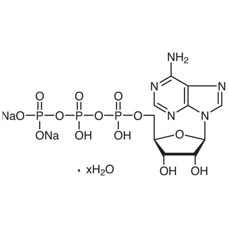 CAS No. 34369-07-8 MPN:A0157-25G