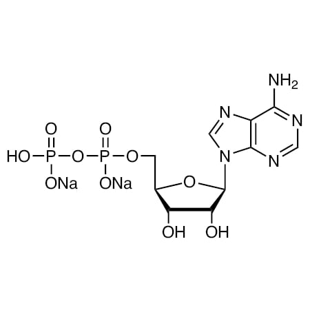CAS No. 16178-48-6 MPN:A0626-100MG