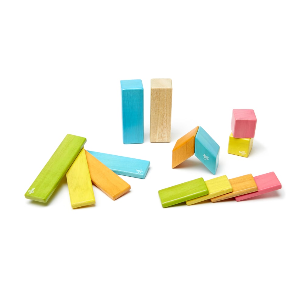 Tegu Magnetic Wooden Blocks, Tints, 14 Pieces MPN:TEG14PTNT306T