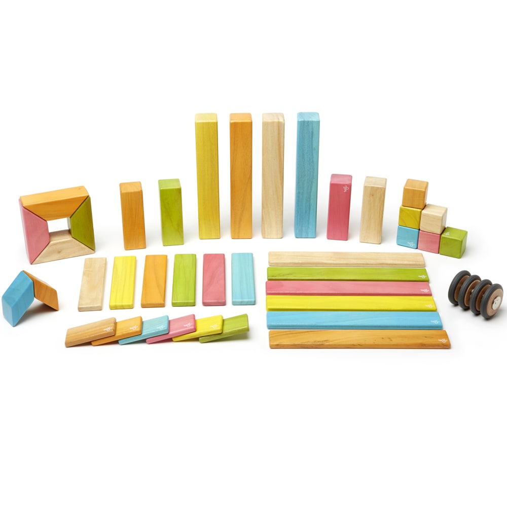 Tegu Magnetic Wooden Blocks, Tints, 42-Piece Set MPN:TEG42PTNT306T