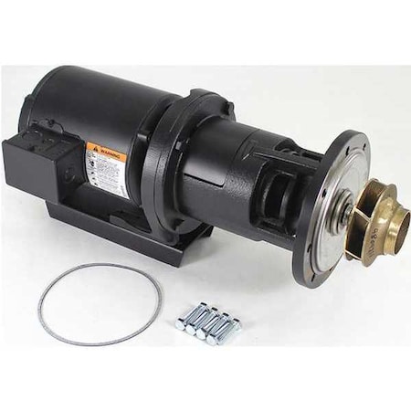 Pump and Motor Assembly, 1/3 hp MPN:RA2117201