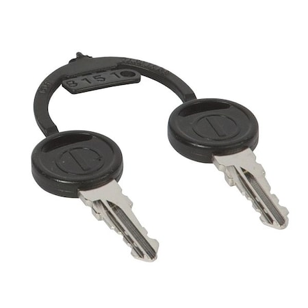 Ignition Key, PK2 MPN:4129073