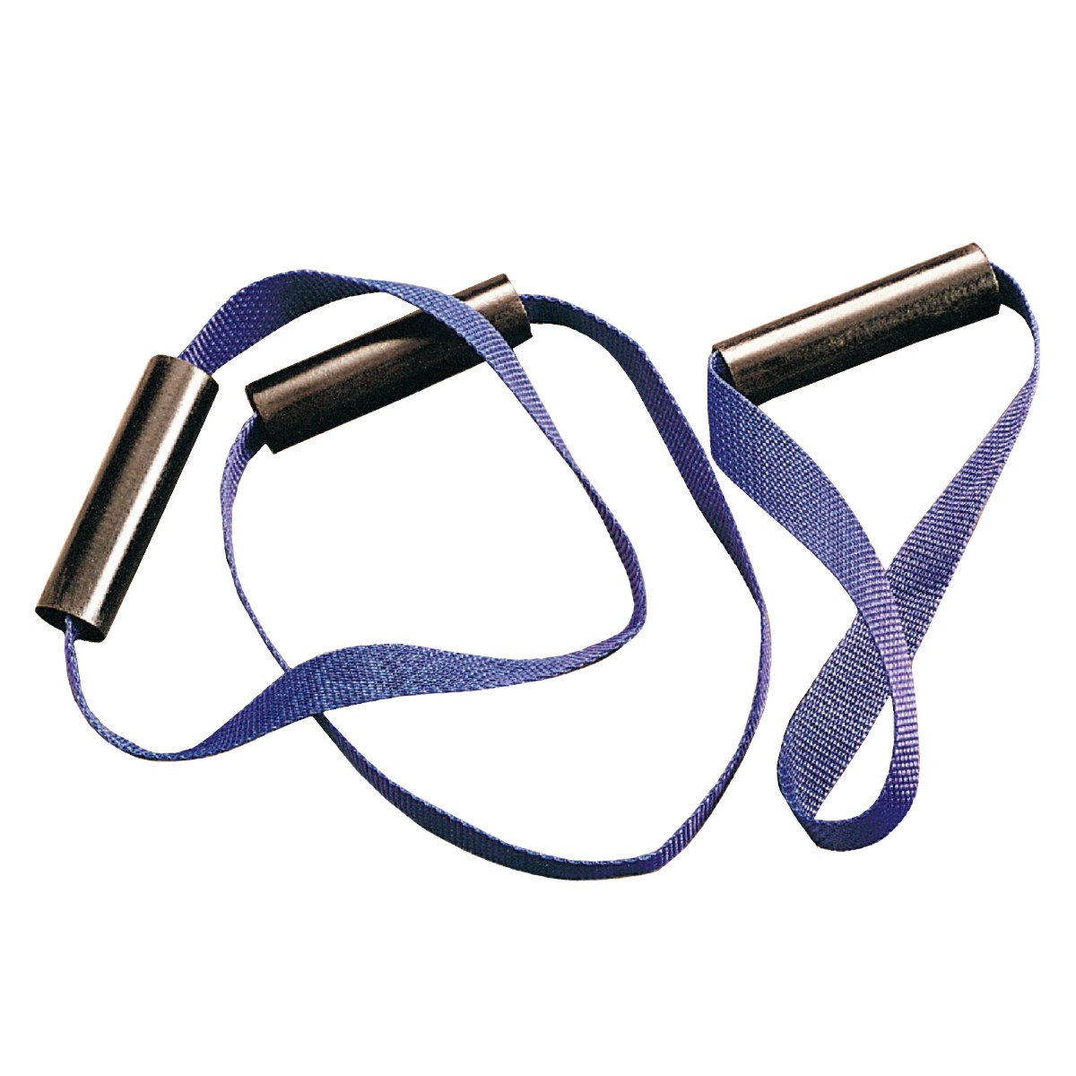 Example of GoVets Thera Loop category