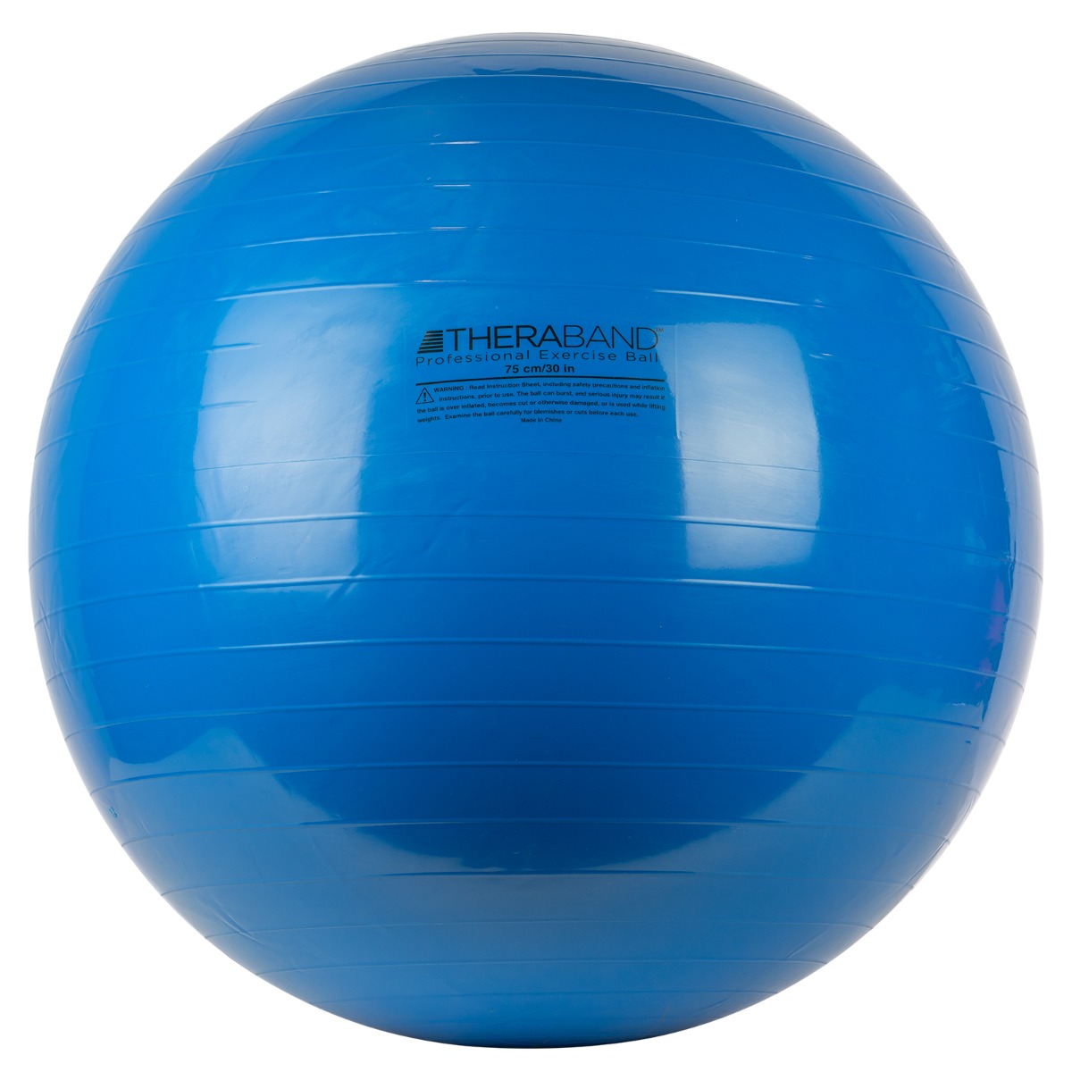 Example of GoVets Exercise Ball category