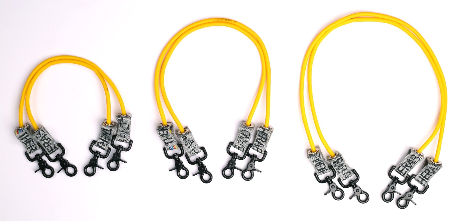 Example of GoVets Theraband category