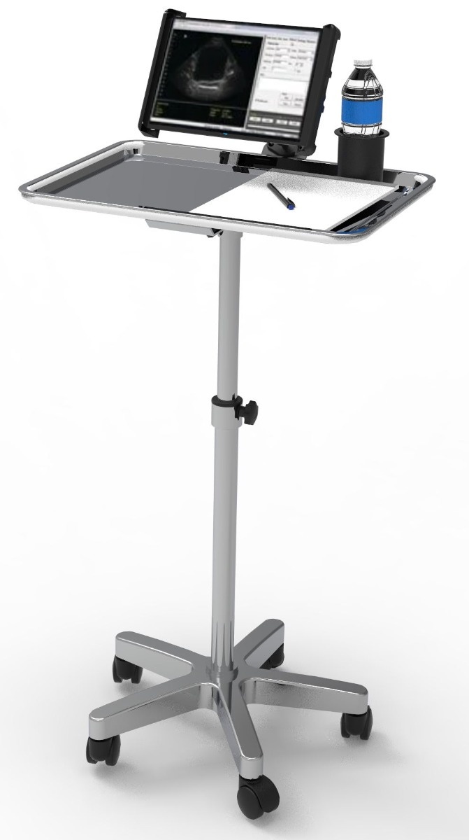 Example of GoVets Computer Carts category