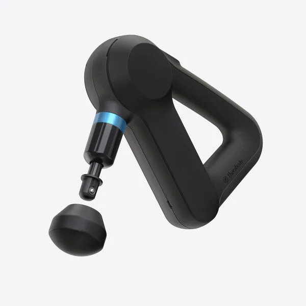 Example of GoVets Percussion Massager category