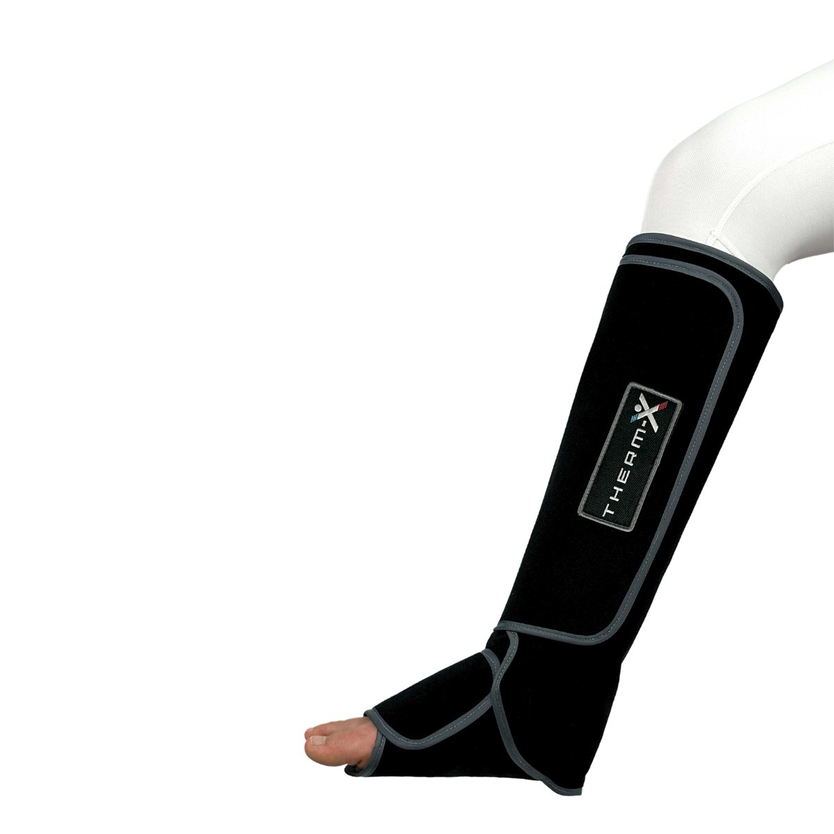 Example of GoVets Therm x category