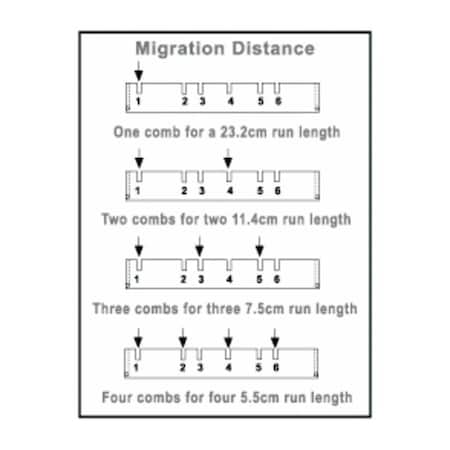 Owl 20 Tooth Comb, 1.5 mm Thick MPN:A2-20D