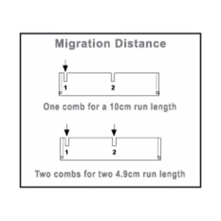 Owl B1 Rapid Load 17 Well Comb, 1.5mm MPN:B1-RL-17D