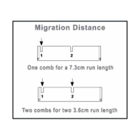 Owl 8 Tooth Comb, 1.0/1.5 mm Thick Doub MPN:B1A-8