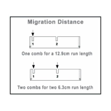 Owl 24 Tooth Comb, 1.0/1.5 mm Thick Dou MPN:B2-24