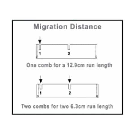 Owl Wall Comb. 1.5 mm Thick MPN:B2-WALL