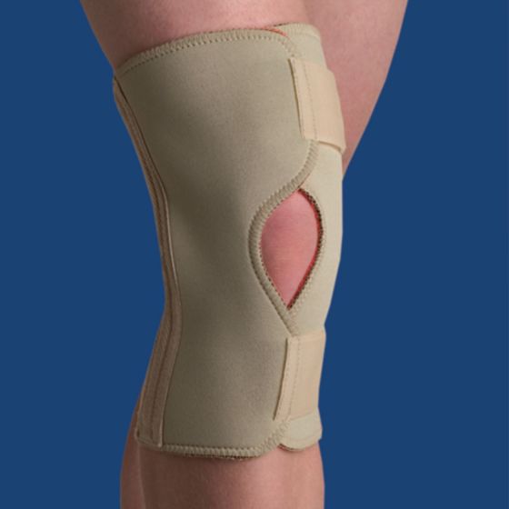 Example of GoVets General Knee Brace category