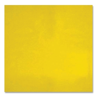 6X6 Yellow Vnyl Rep Curtain MPN:601R66