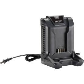 PRORUN® 60V Lithium-Ion Battery Charger PC16026