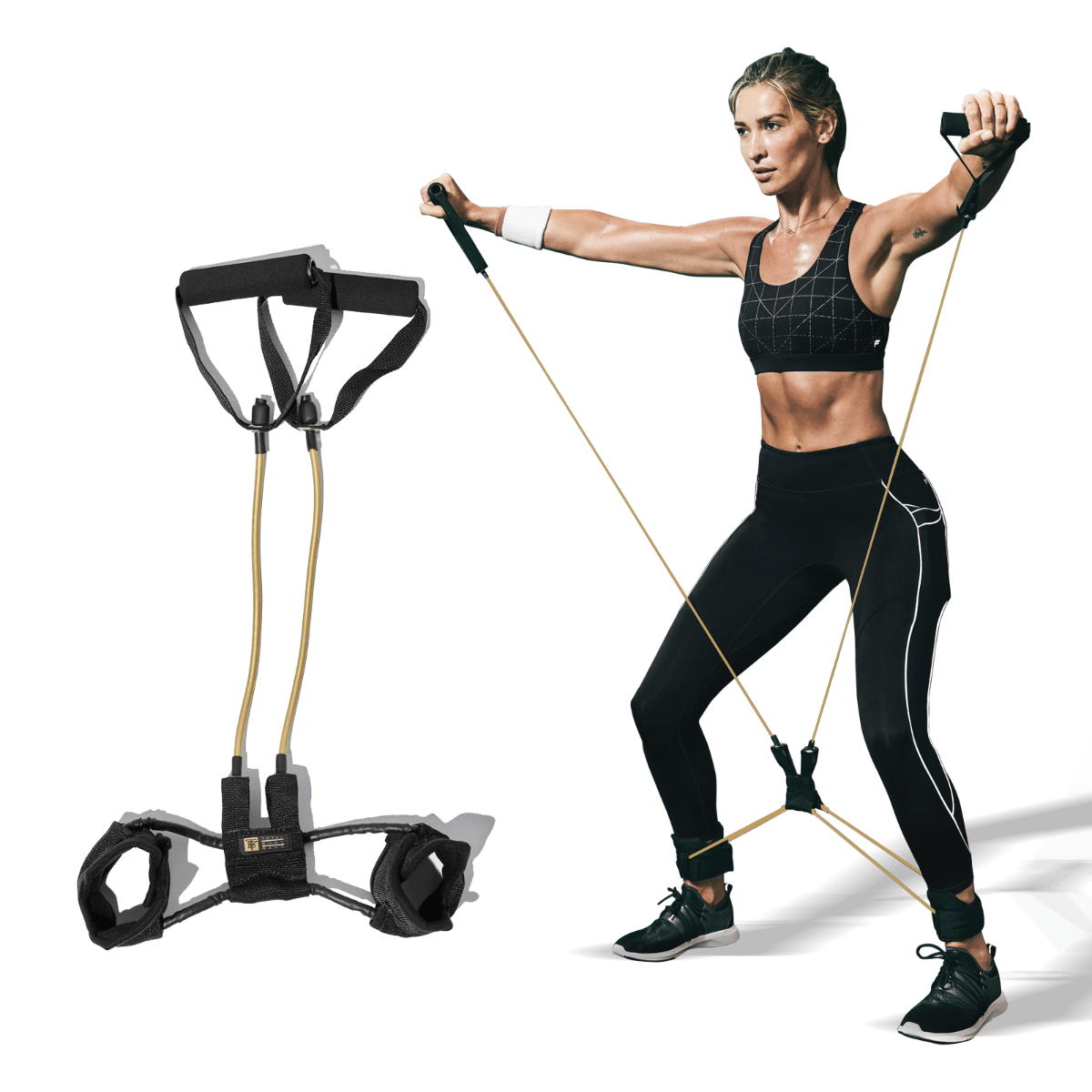 Example of GoVets Total Body Band category