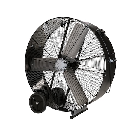Portable Blower, 30
