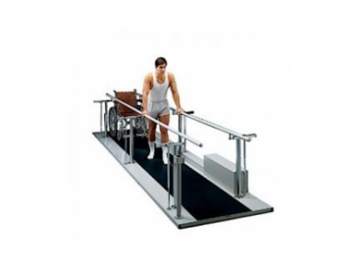 Example of GoVets Mobility category