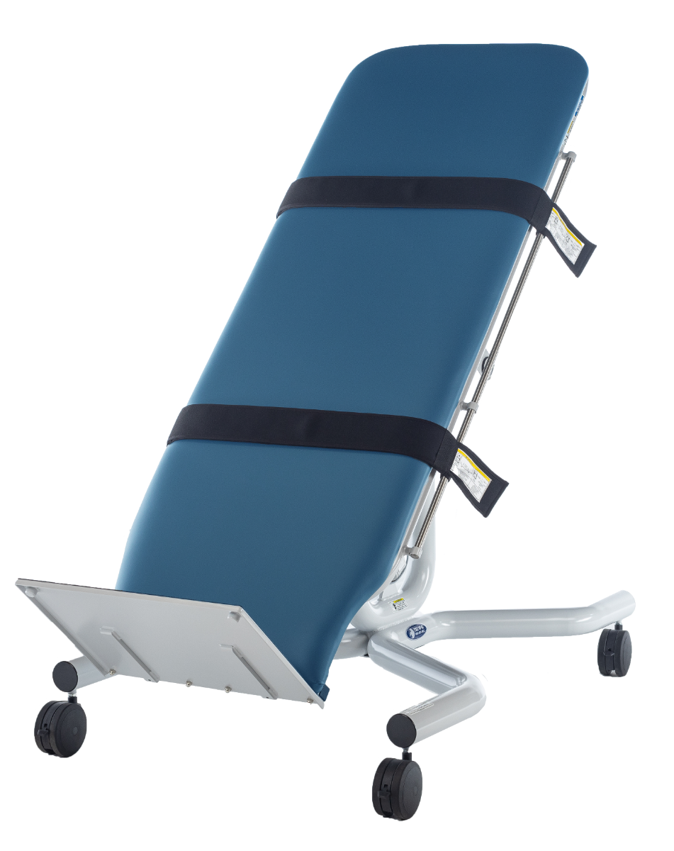 Example of GoVets Electric Tilt Tables category