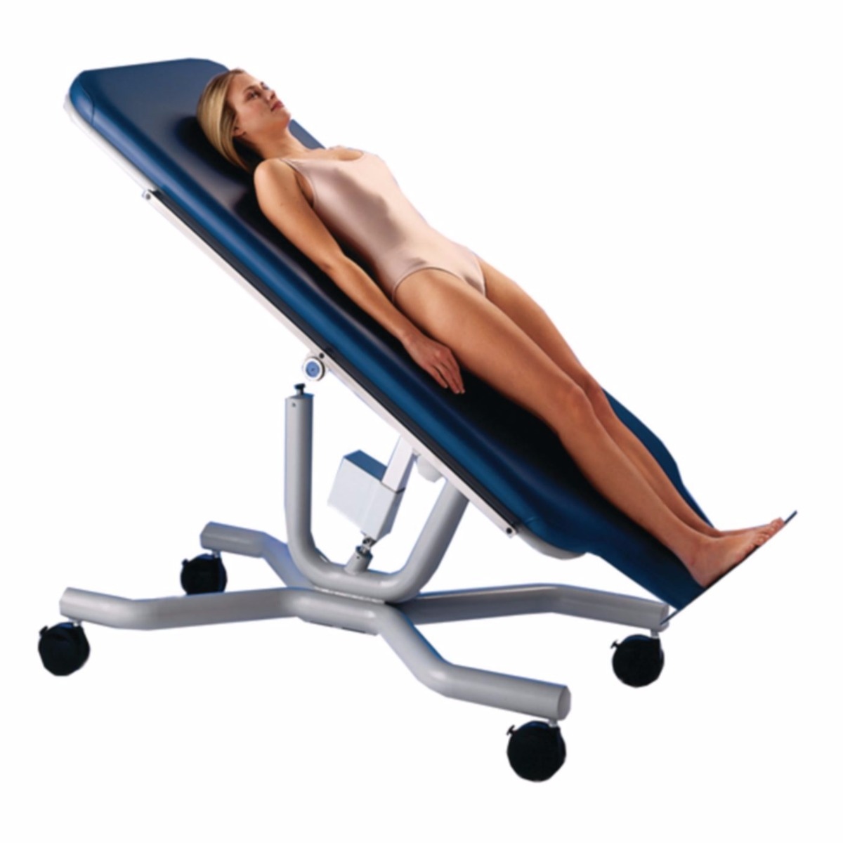 Example of GoVets Electric Tilt Tables category