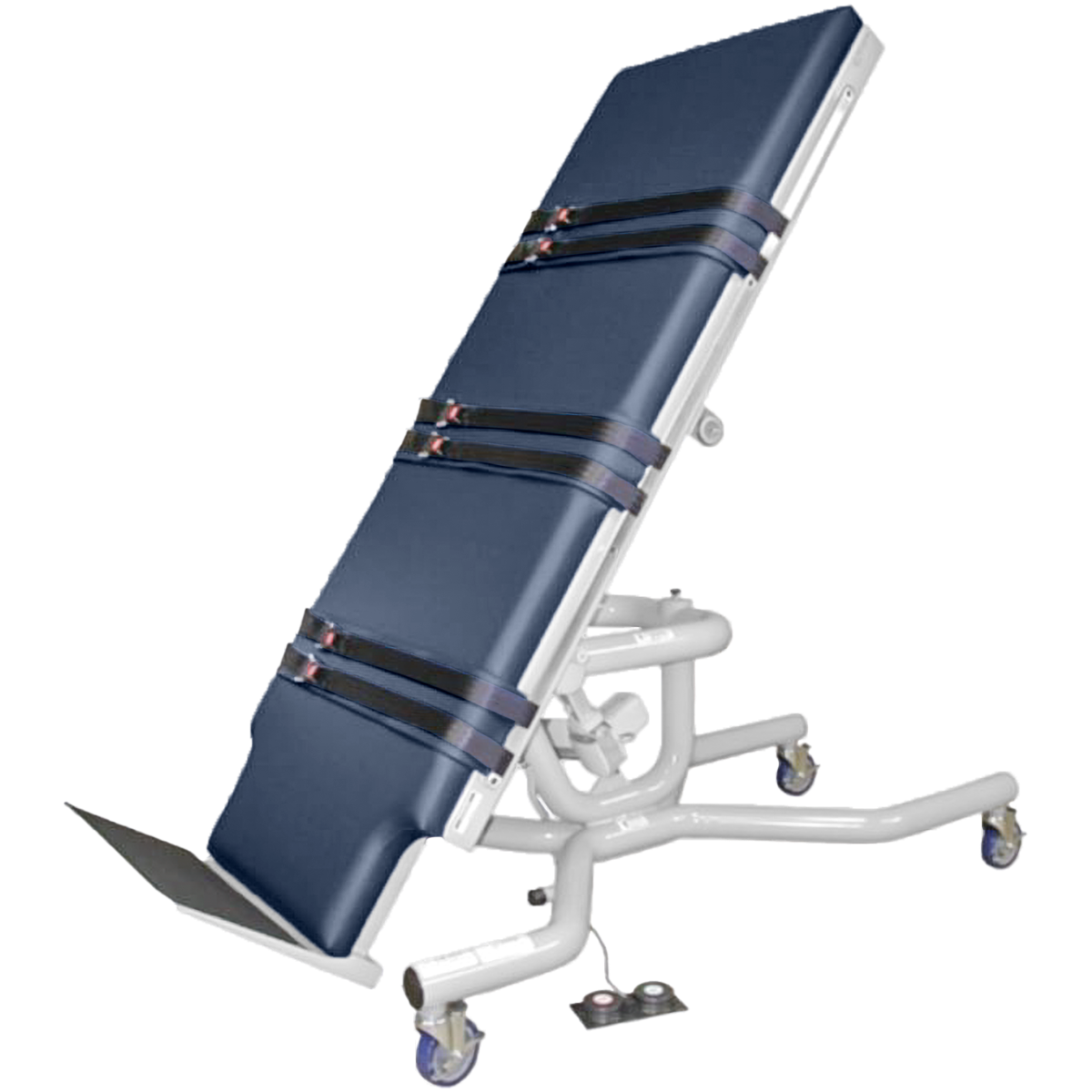 Example of GoVets Electric Tilt Tables category