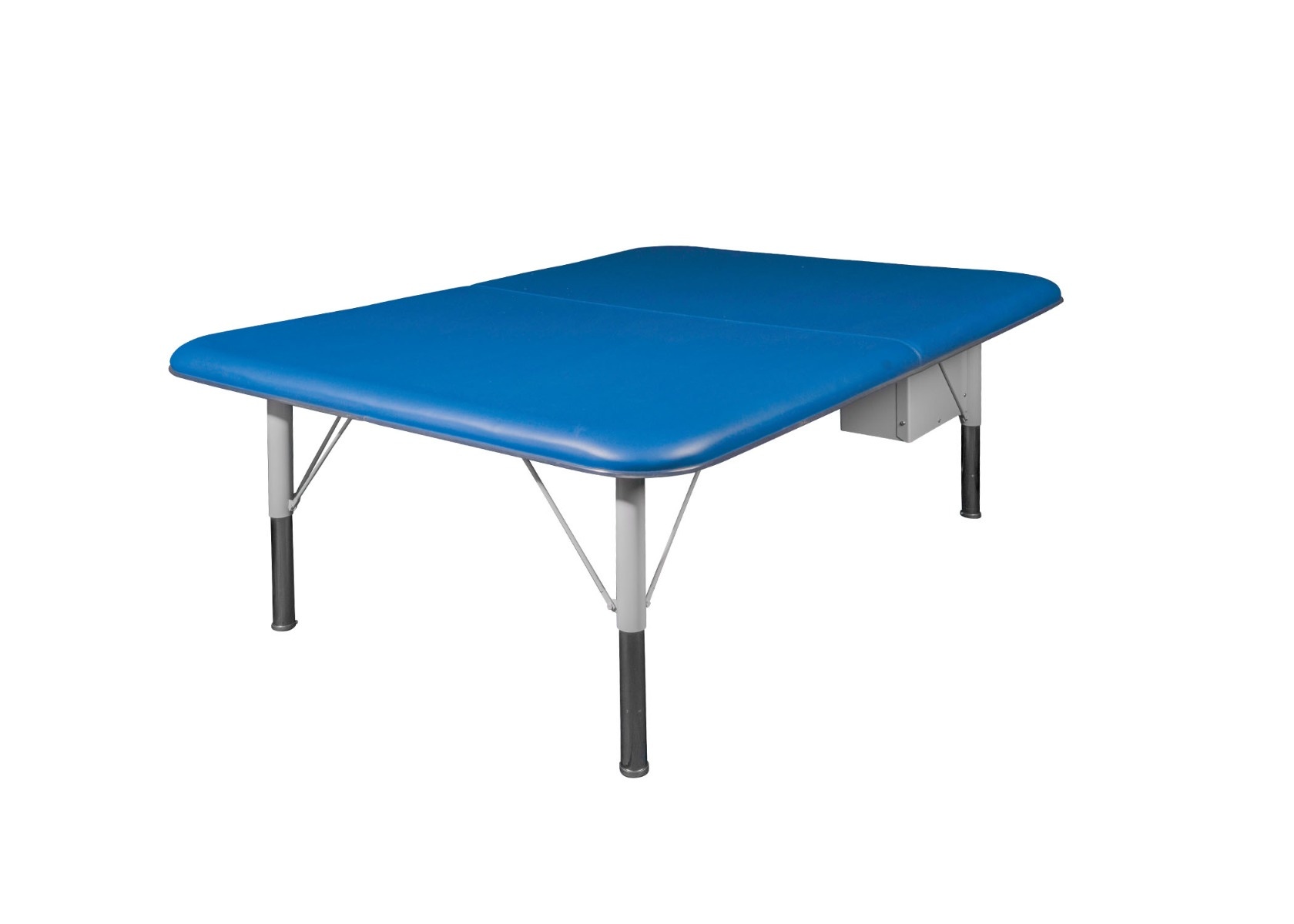 Example of GoVets hi lo Mat Platform category
