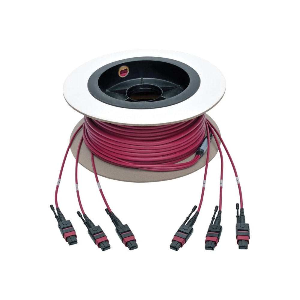 Tripp Lite by Eaton MTP/MPO Multimode Base-8 Trunk Cable, 24-Strand, 40GB/100GB, 40/100GBASE-SR4, OM4 Plenu - N85811M3X8MG MPN:N858-11M-3X8-MG