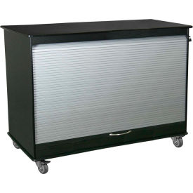 TrippNT™ Black/Silver Medium Polyethylene Mobile Lab Cabinet 48