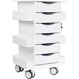 TrippNT™ Core Locking 6 Drawer Lab Cart 23