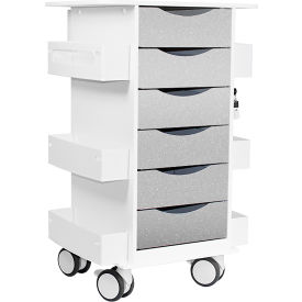 TrippNT™ Core Locking 6 Drawer Lab Cart 23