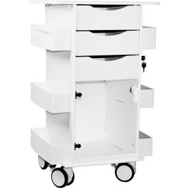 TrippNT™ White Deluxe Medical Cart with Clear Swinging Hinged Door 23
