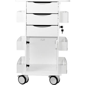 TrippNT Core DX Cart Gray w/ Hinged Door 22-7/8
