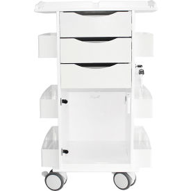 TrippNT Core DX Cart Gray Hinged Door & Railtop 22-7/8