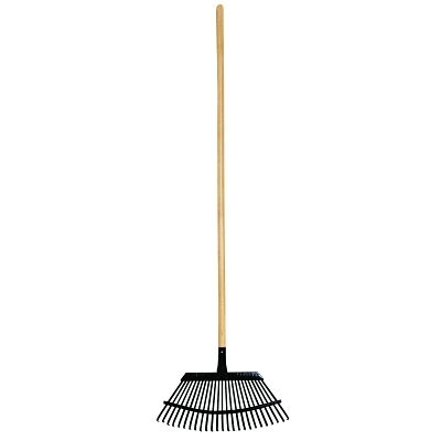Rake Lawn 18