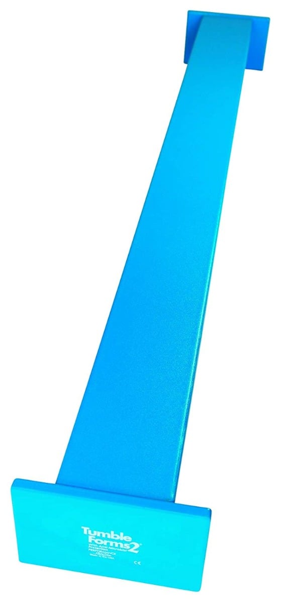 Example of GoVets Balance Beam category