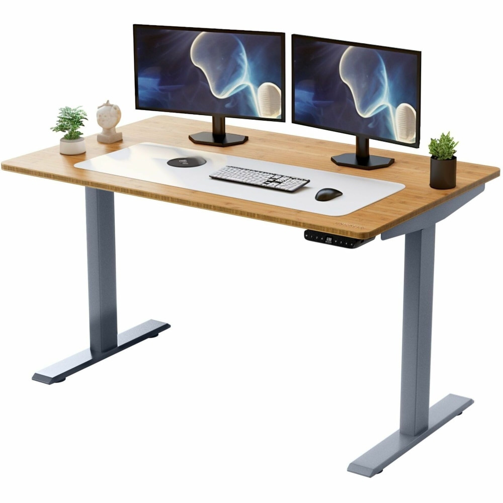 Rise Up Electric 48inW Standing Computer Desk, Natural Bamboo MPN:RU2GB48