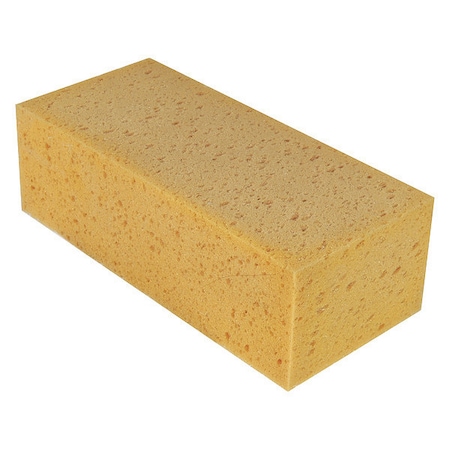 The Sponge MPN:SP010
