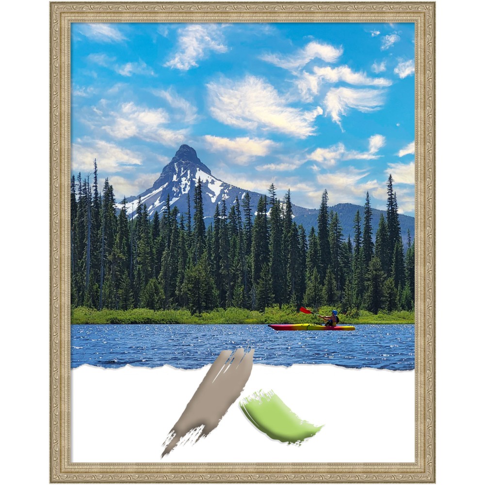 Amanti Art Picture Frame, Opening Size 22in x 28in, 24in x 30in, Paris Champagne MPN:A42708298213