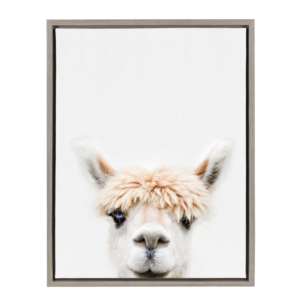 Uniek Kate And Laurel Sylvie Framed Canvas Wall Art, 18in x 24in, Alpaca Bangs Animal Print Portrait MPN:213260