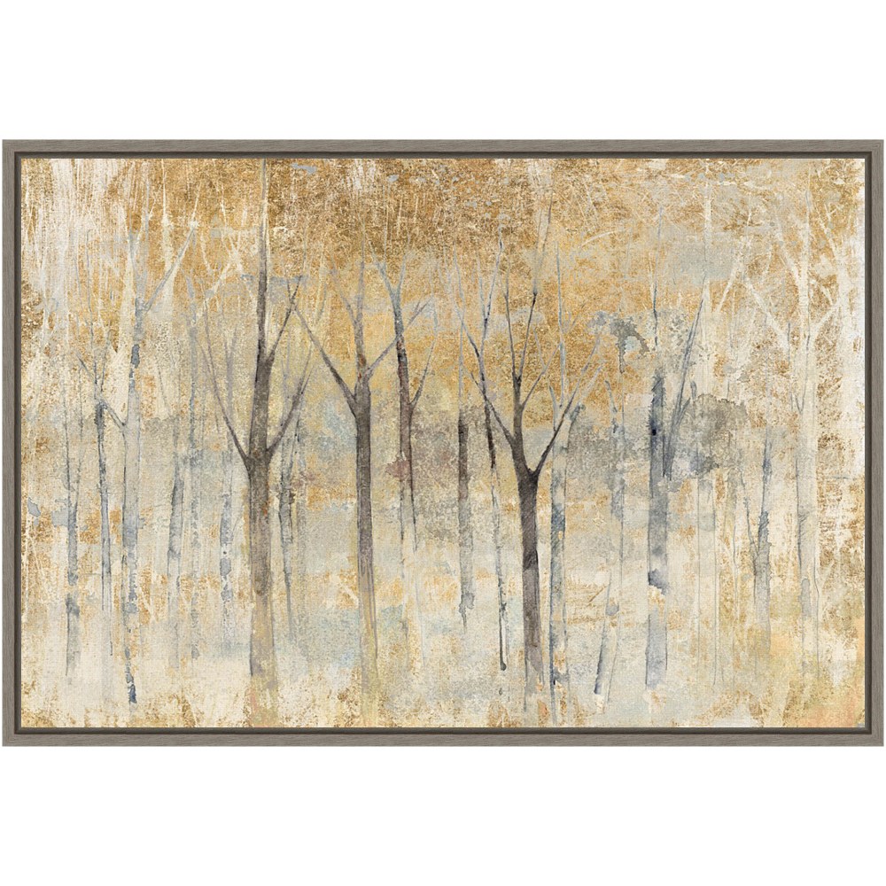 Amanti Art Seasons End Gold by Avery Tillmon Framed Canvas Wall Art Print, 16inH x 23inW, Greywash MPN:A42704078667