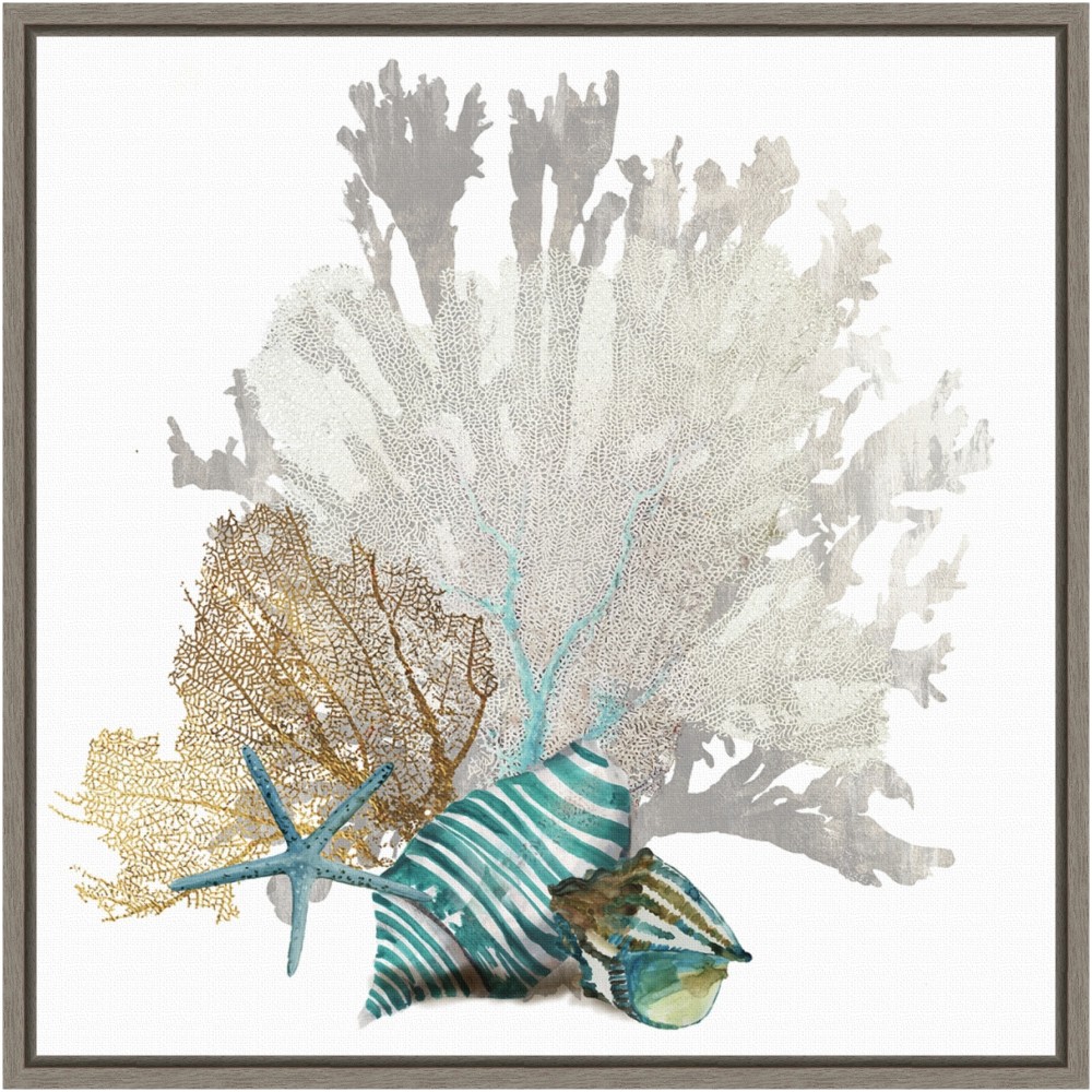 Amanti Art Coral by Aimee Wilson Framed Canvas Wall Art Print, 16inH x 16inW, Greywash MPN:A42704691807