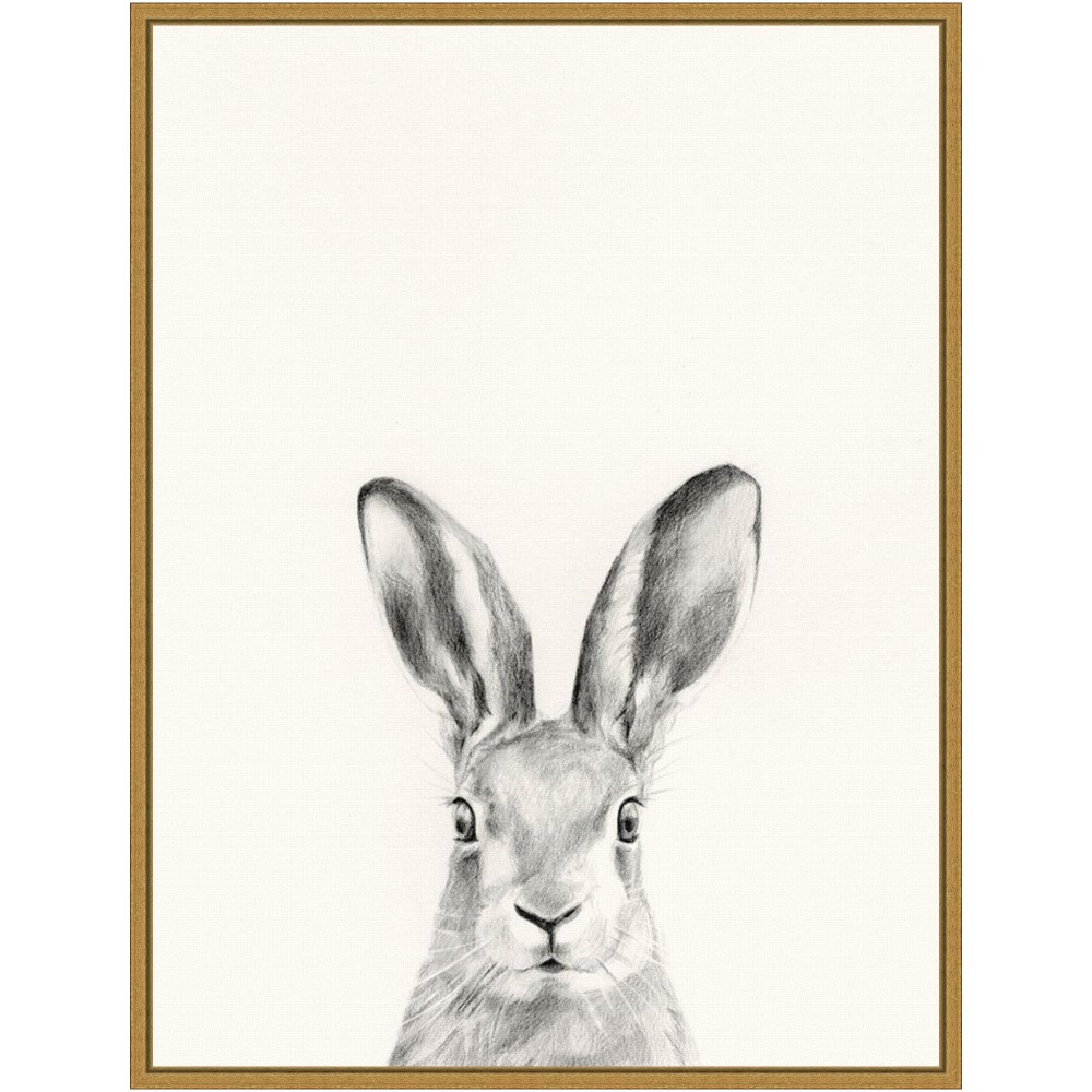 Amanti Art Animal Mug I Rabbit by Victoria Borges Framed Canvas Wall Art Print, 24inH x 18inW, Gold MPN:A42705040721