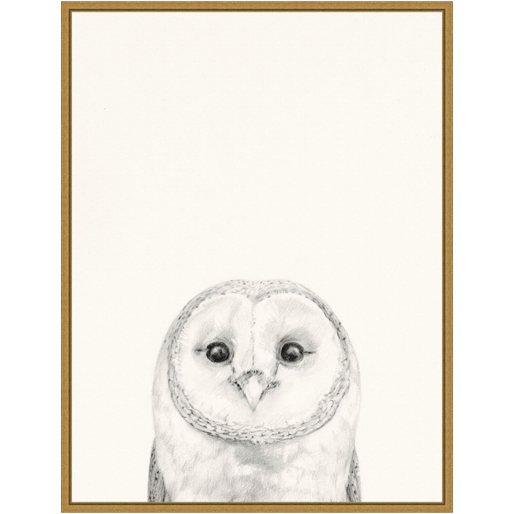Amanti Art Animal Mug III Owl by Victoria Borges Framed Canvas Wall Art Print, 24inH x 18inW, Gold MPN:A42705040725